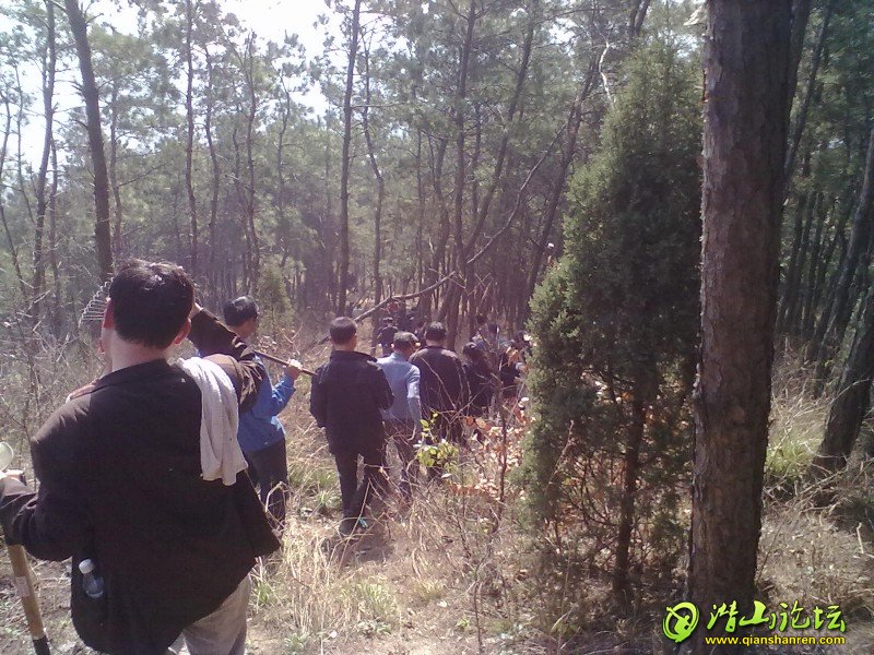 20130307324.jpg