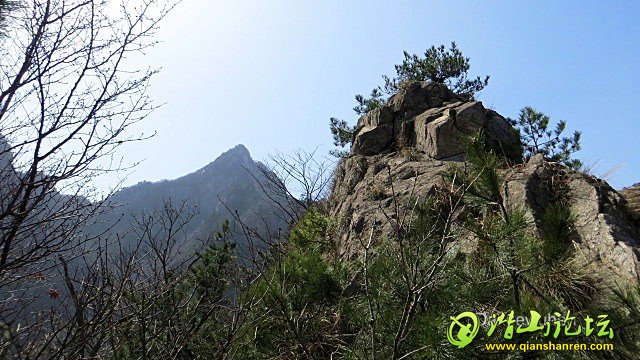 IMG_0277.jpg