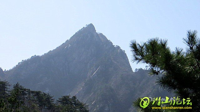 IMG_0282.jpg