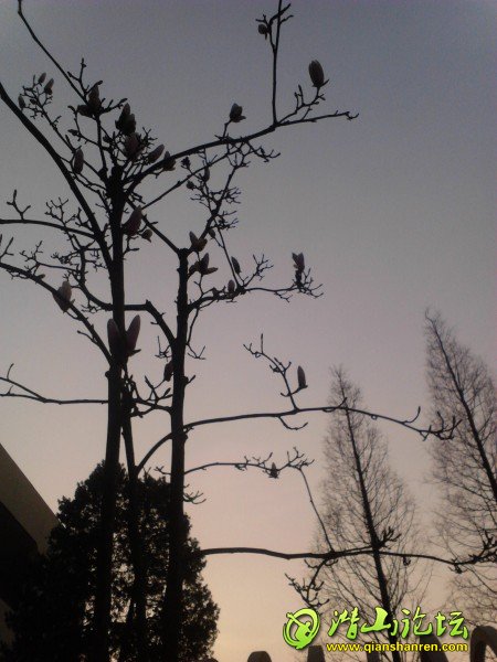 Camera_20130309_072828.jpg