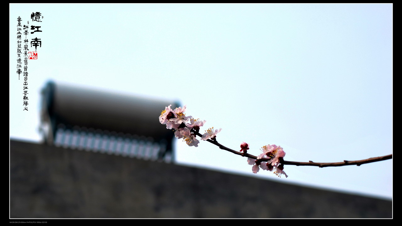 DSC_3340.jpg