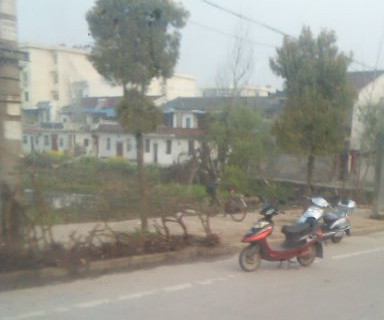 YP20130330064849._.jpg