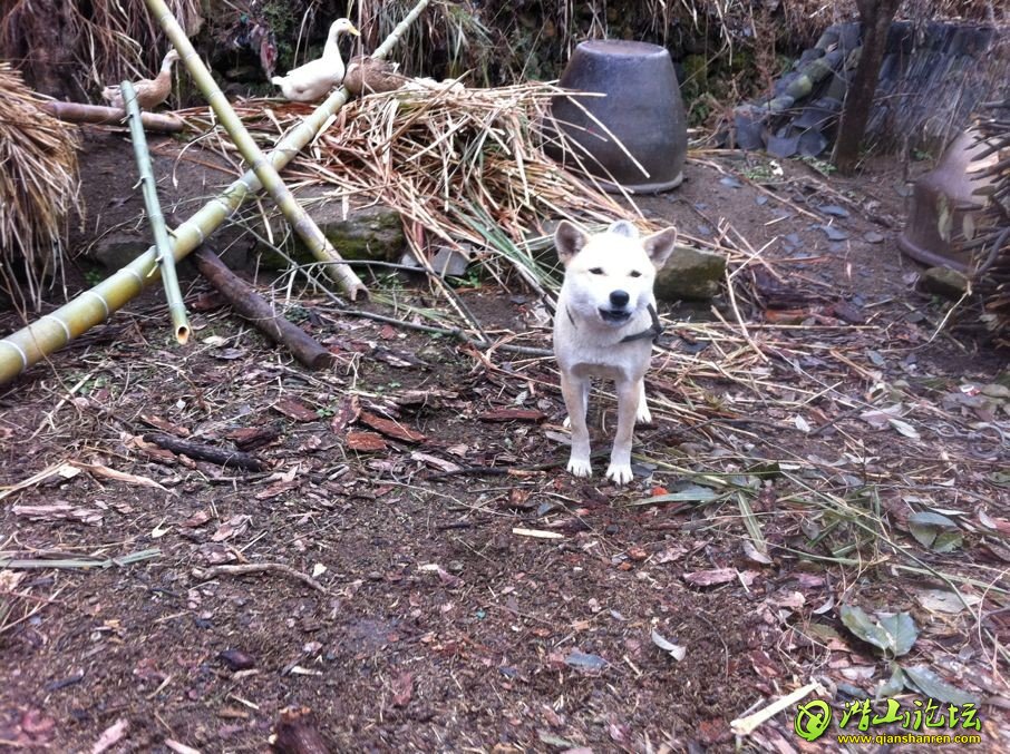QQͼƬ20130428o2116.jpg