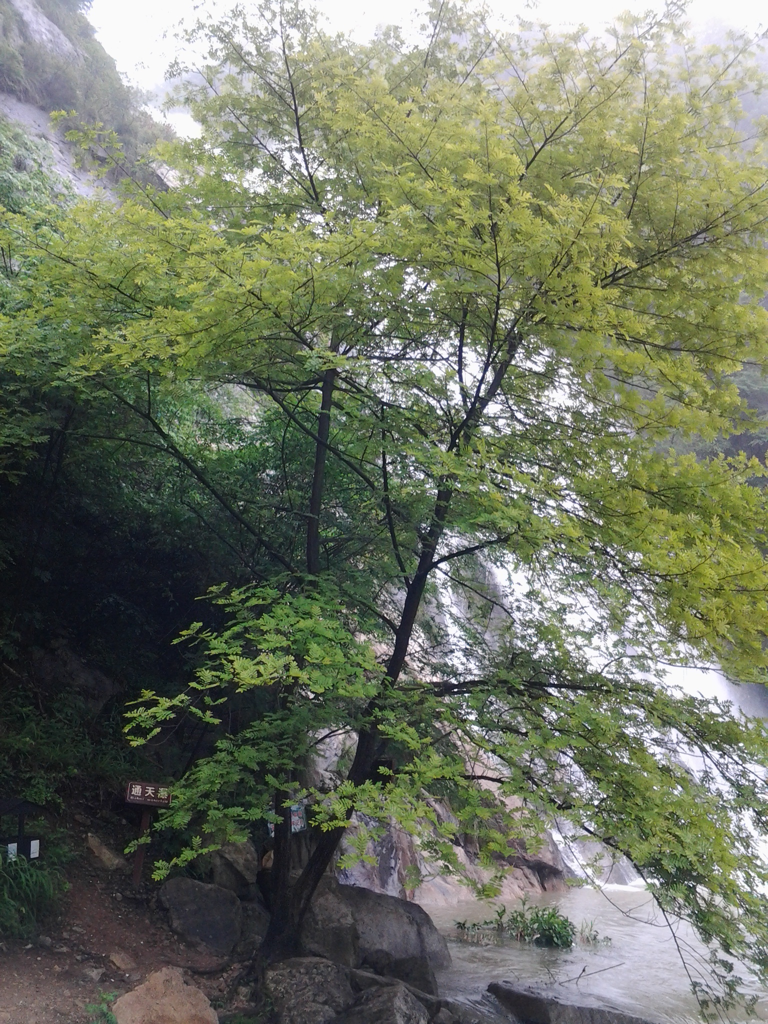 20130430_094632.jpg