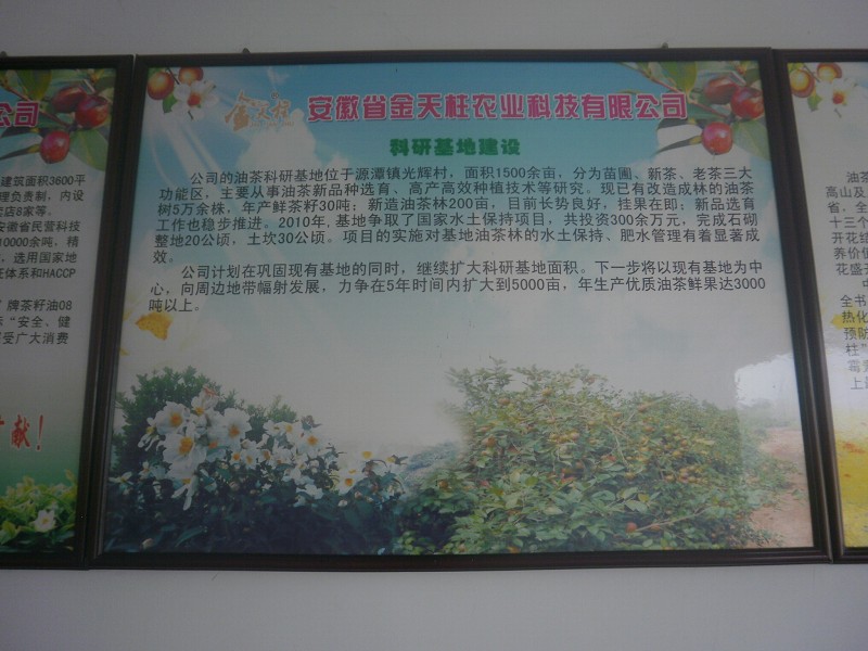 psbCA97LBH4.jpg