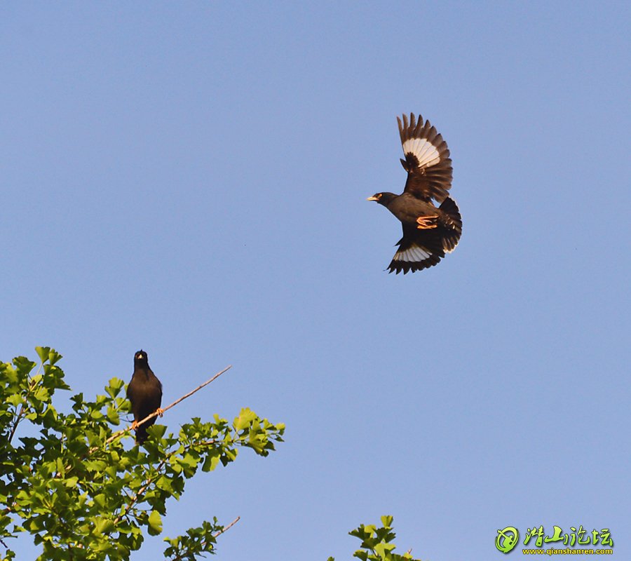 DSC_1222.JPG