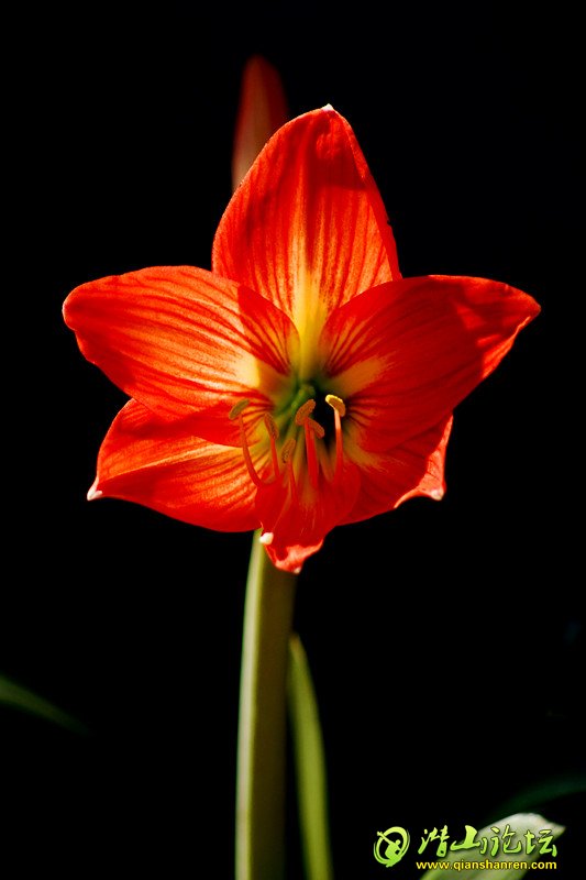 DSC00762_.jpg