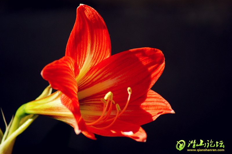 DSC00800_.jpg