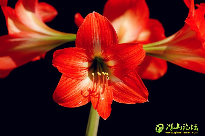 DSC01845_.jpg