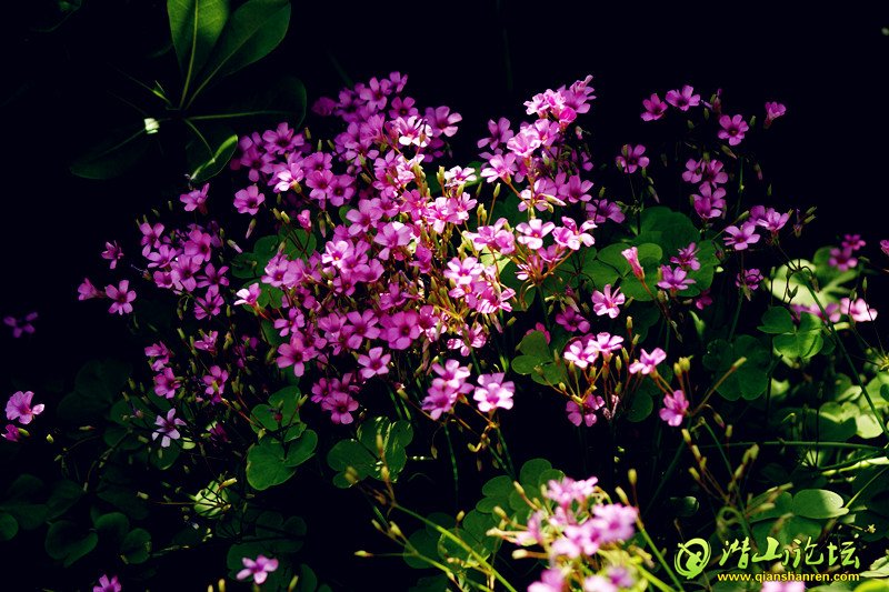 DSC01579_.jpg