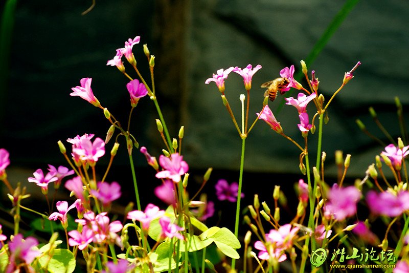 DSC01725_.jpg