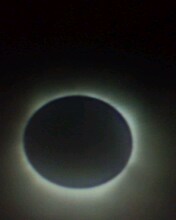 IMG1363A.jpg
