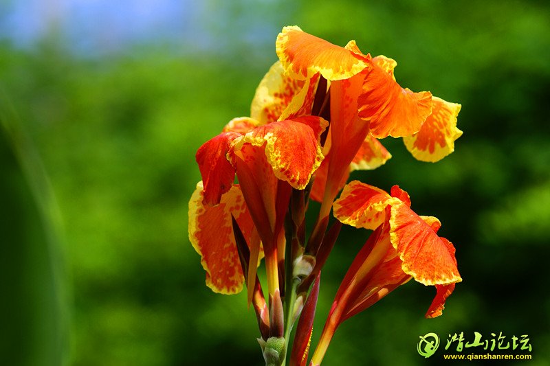 DSC03086_.jpg