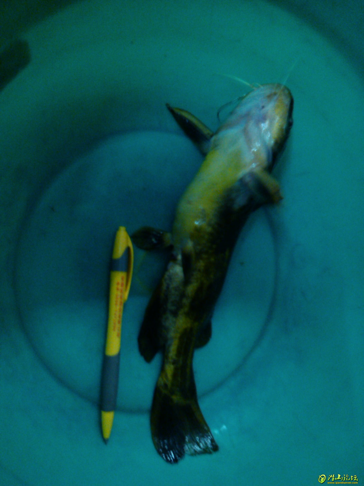 YP20130713201845.jpeg