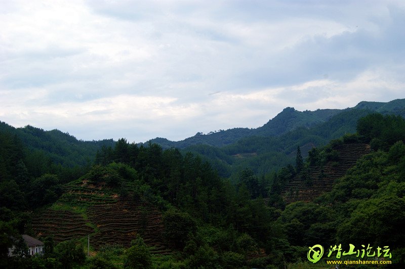 DSC03499_.jpg