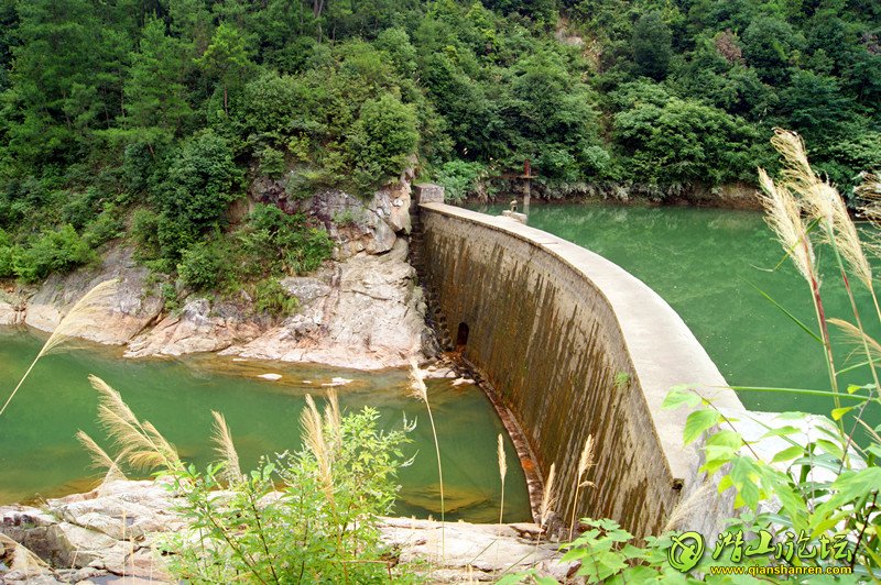 DSC03508_.jpg