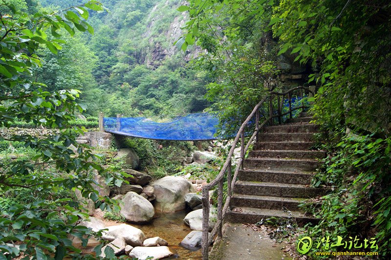 DSC03604_.jpg