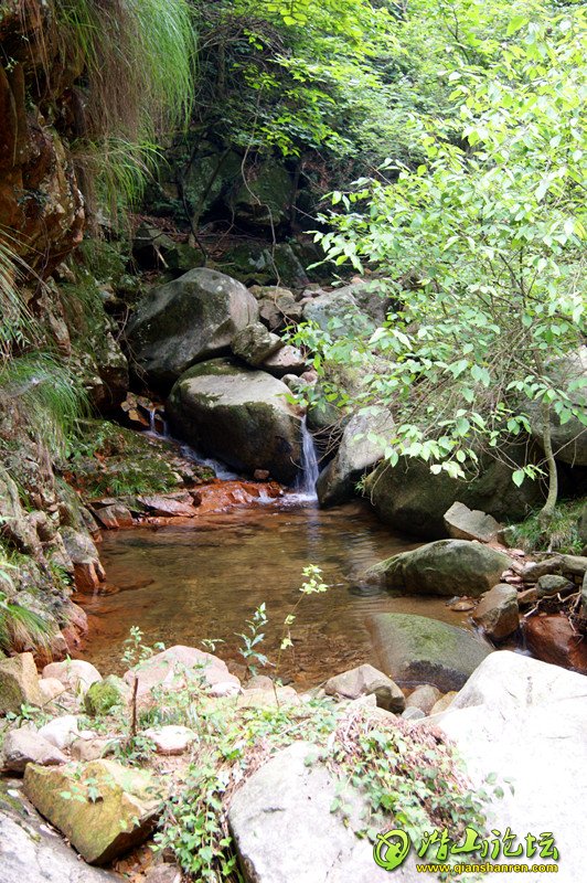 DSC03615_.jpg