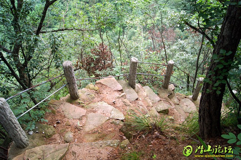 DSC03665_.jpg