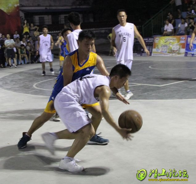 IMG_8322_.jpg