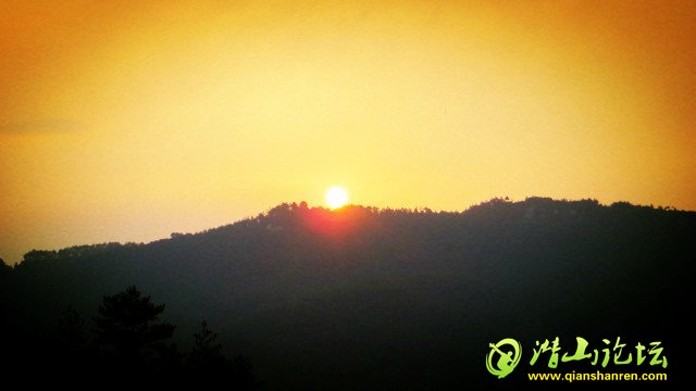 IMG_0563_.jpg