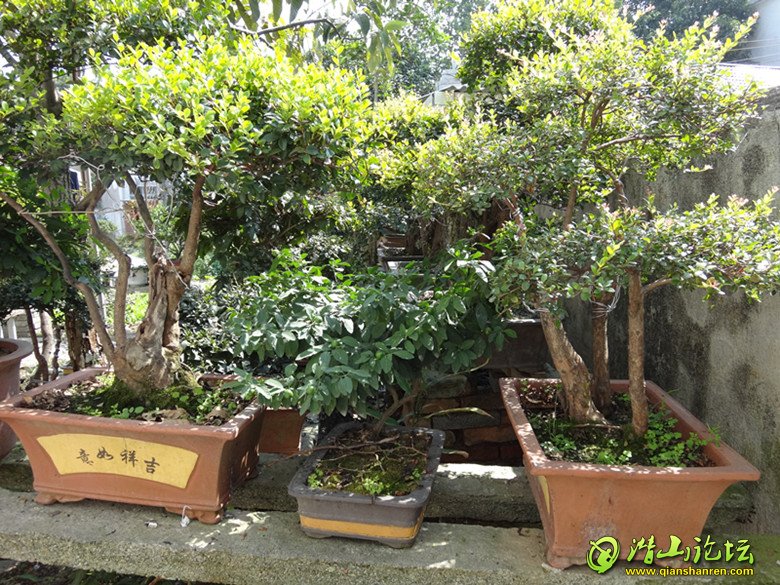 DSC00625.JPG
