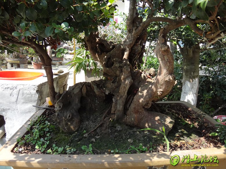 DSC00642.JPG