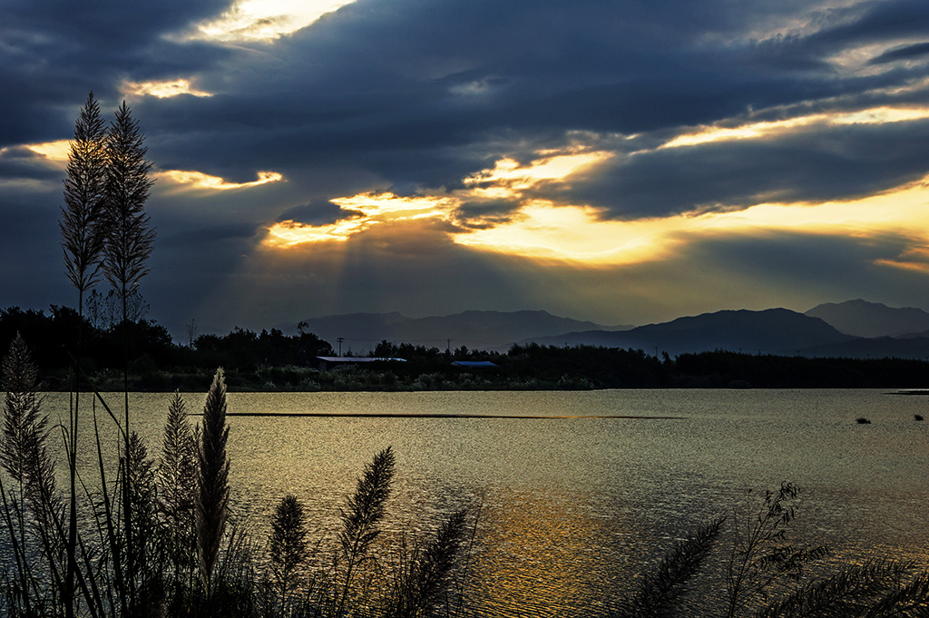 DSC_1898-1.jpg