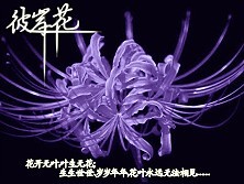 QQͼƬ20130922213447.jpg