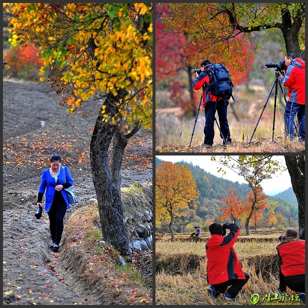 DSC_6395_conew1.jpg