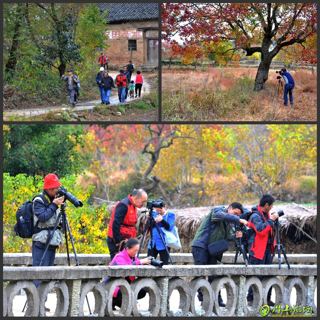 DSC_6395_conew3.jpg