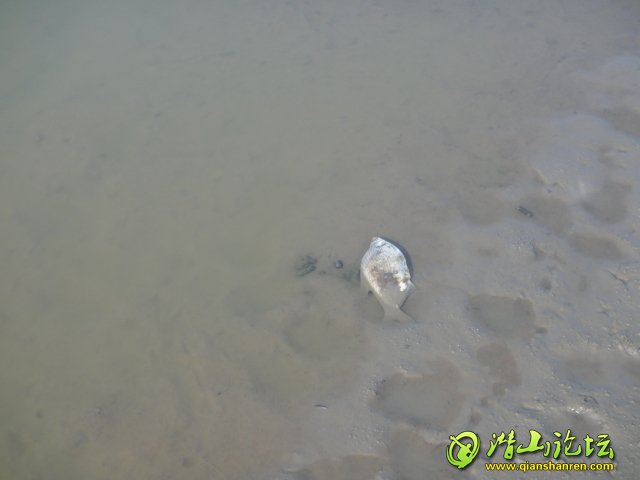 DSC00274.JPG