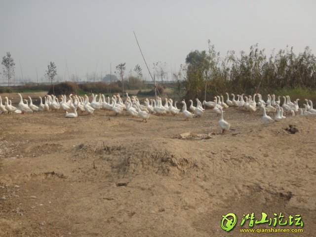 DSC00297.JPG