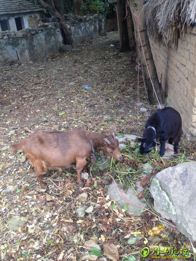 ���ǿ���һ������ֻ