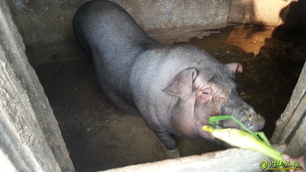 20131020_085502.jpg