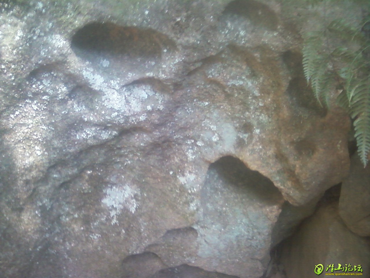 Ƭ-0443.jpg
