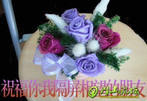 IMG20120104113841.jpg