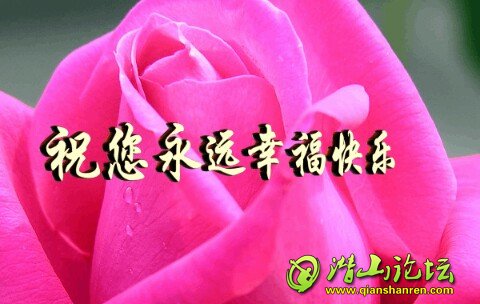 IMG20120105000859.jpg