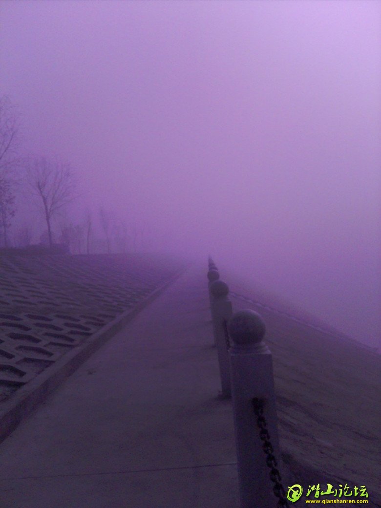 img031_.jpg