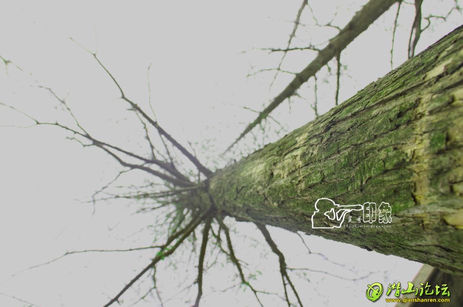 360ͼ20140401133632594.jpg