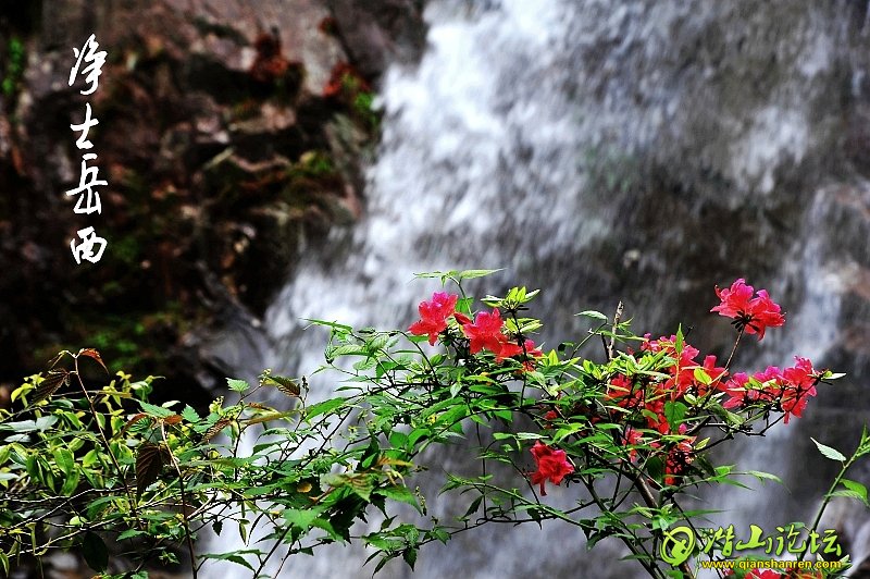 DSC_2579_conew1.jpg