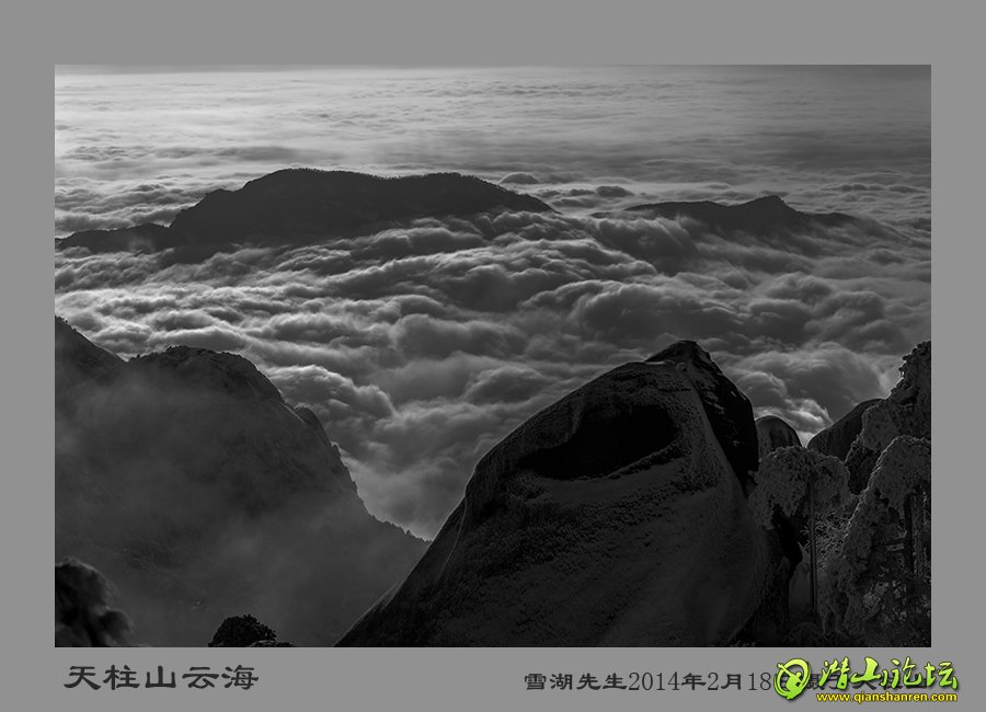 _DSC4221-1-1.jpg
