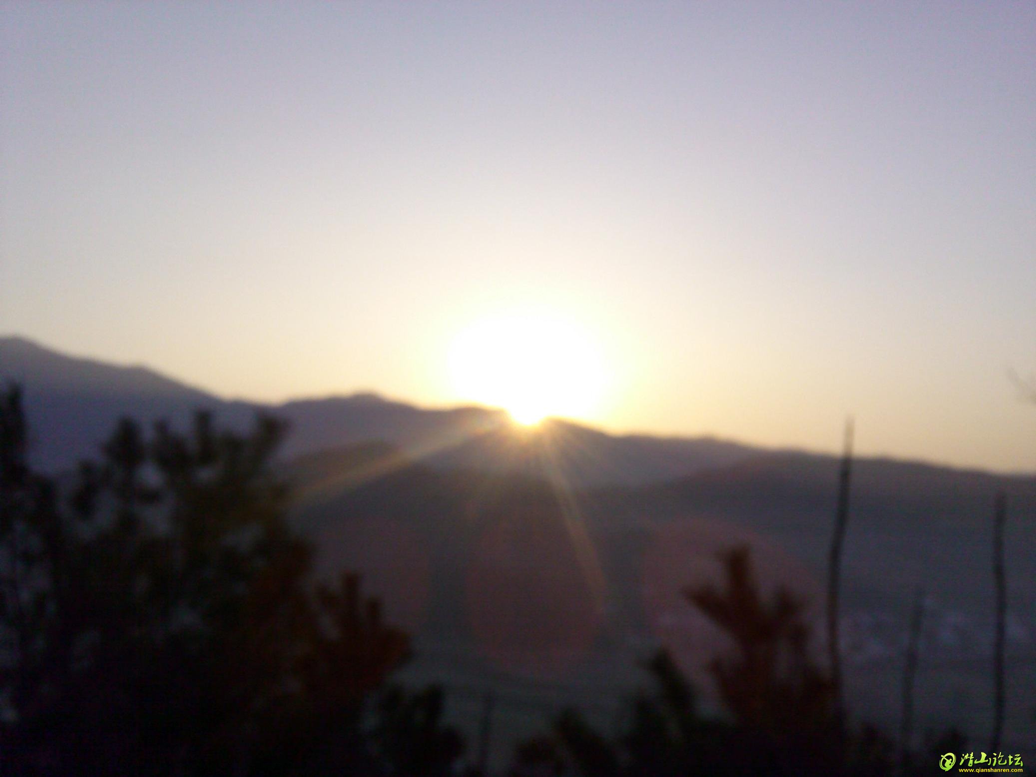 IMG_20140322_064435.jpg