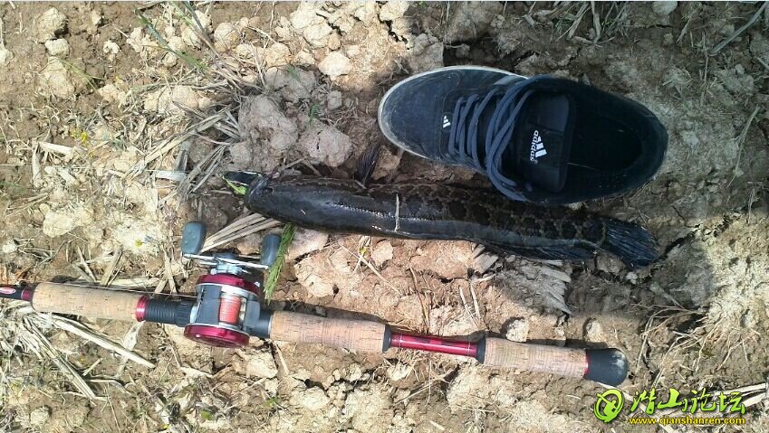 QQͼƬ20140613211514.jpg