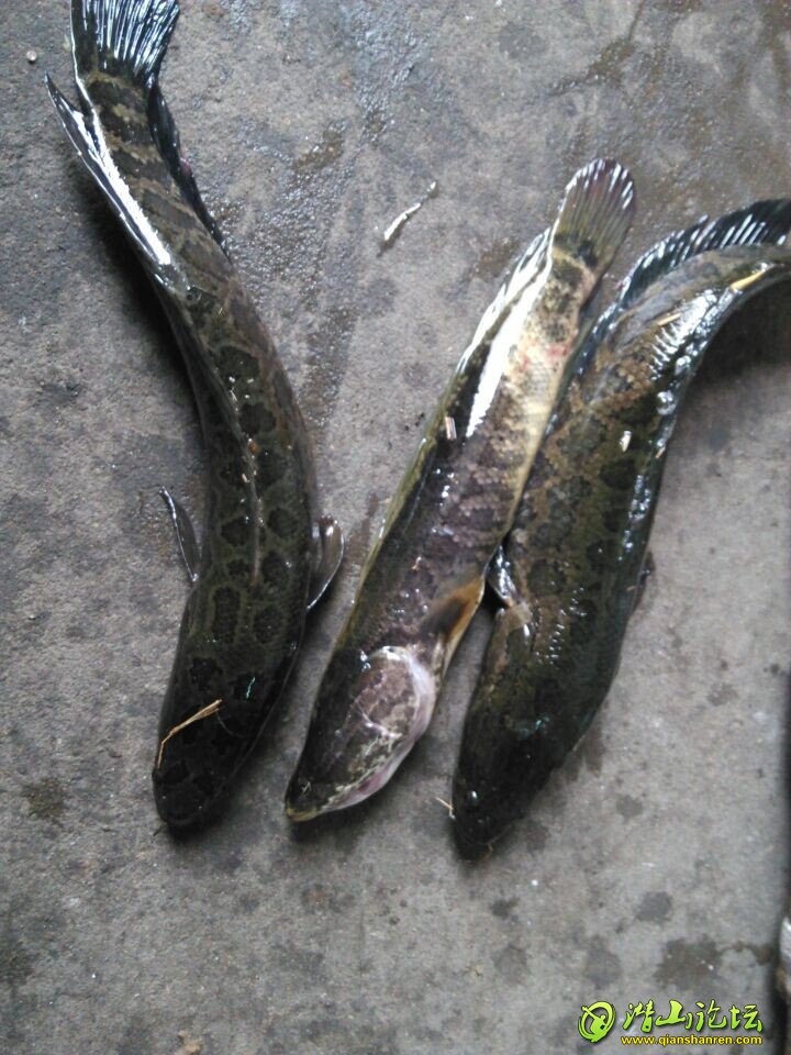QQͼƬ20140615180116.jpg