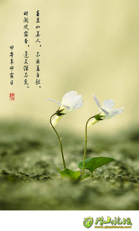 _DSC8505.png