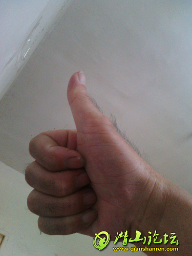 2014-07-31_12.37.13.jpg