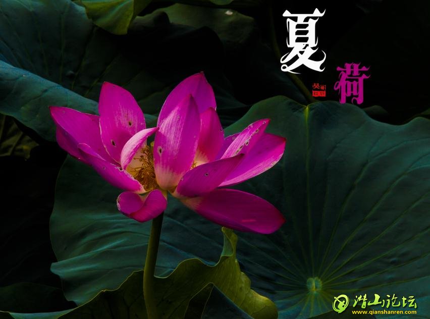 ĺ (9).jpg
