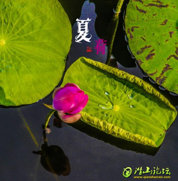 ĺ (13).jpg