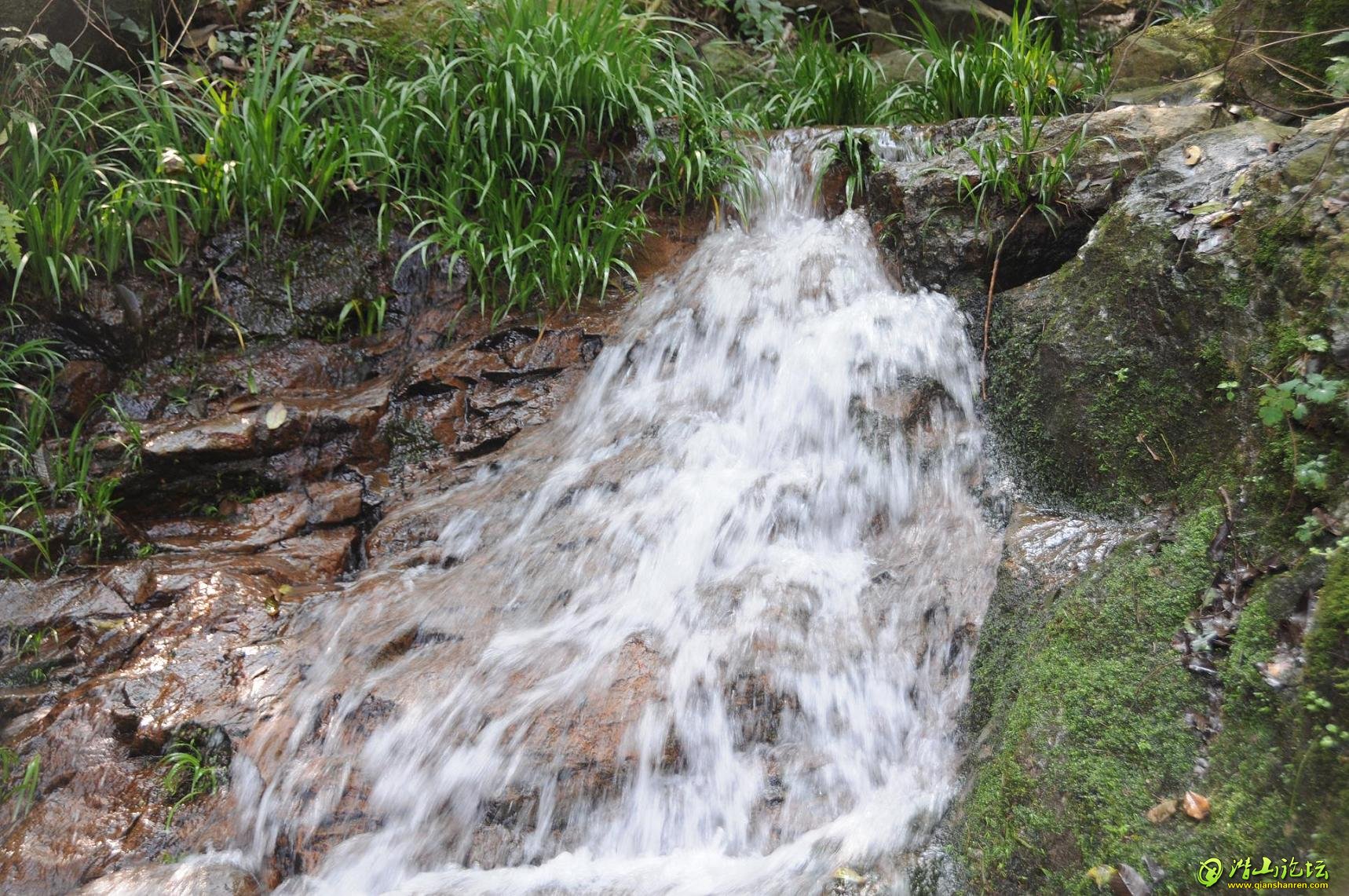 DSC_1306.JPG